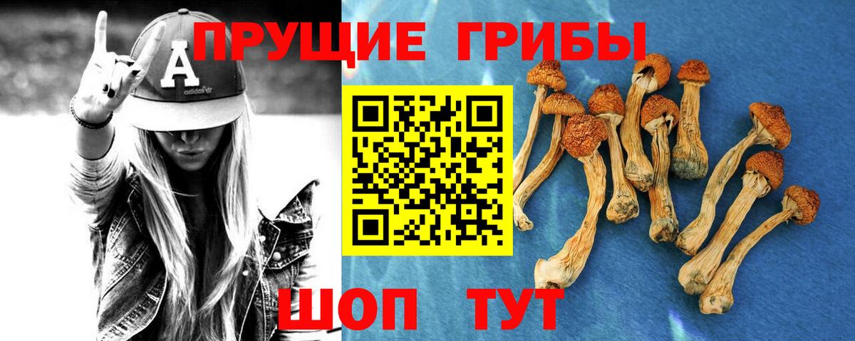 Галлюциногенные грибы MAGIC MUSHROOMS Арсеньев
