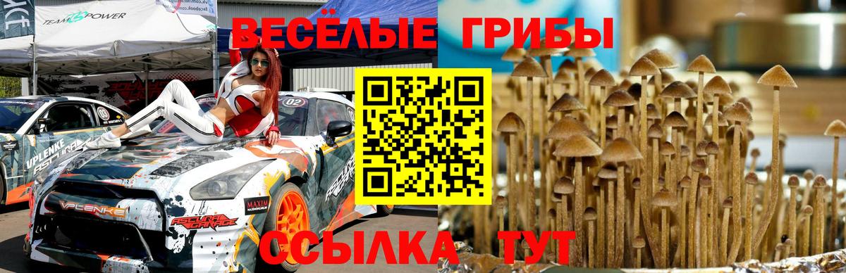 Арсеньев  Псилоцибиновые грибы Psilocybine cubensis  Галлюциногенные грибы мухоморы  Вход с VPN 
